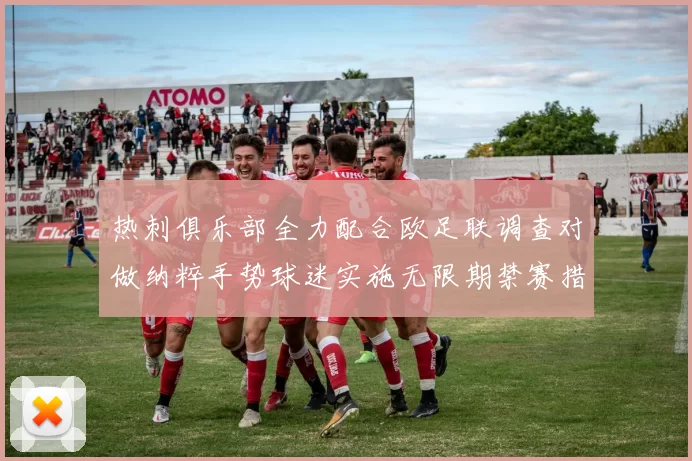 热刺俱乐部全力配合欧足联调查对做纳粹手势球迷实施无限期禁赛措施